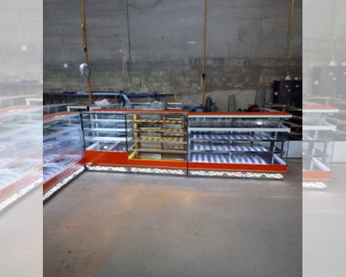 How to Choose a Bakery Display Counter That Helps Products Sell
